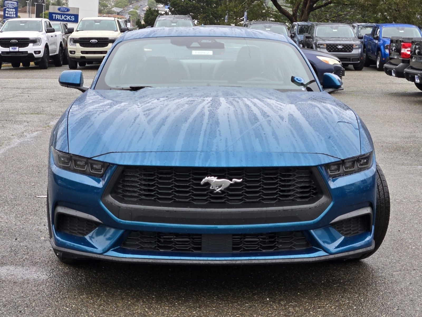 2026 Ford Mustang EcoBoost Fastback - Photo 3