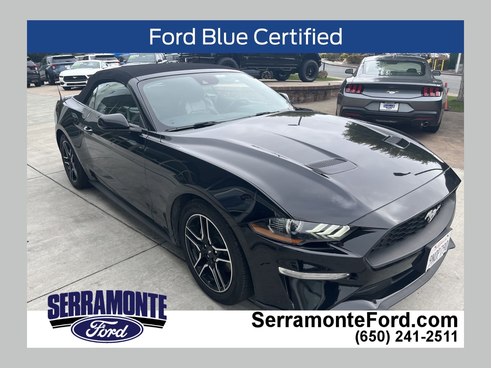 Shadow Black 2022 Ford Mustang Convertible Rear-Wheel Drive Automatic