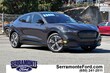  Ford Mustang Mach-E
