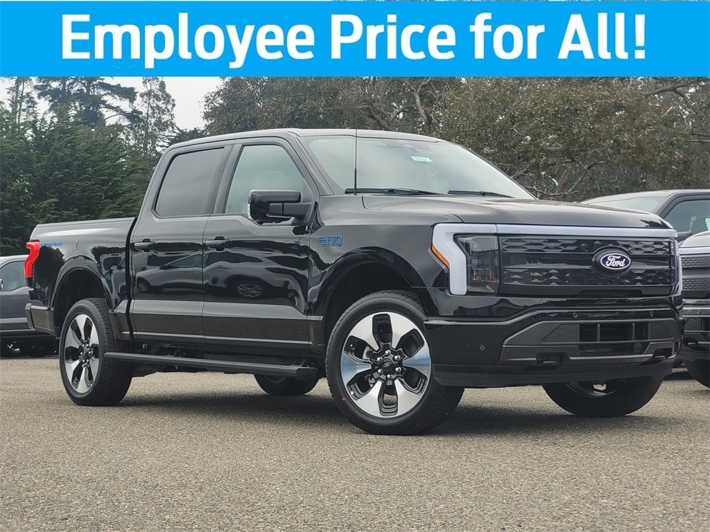 2025 Ford F-150 Lightning Platinum's photo