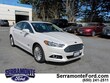  Ford Fusion Energi