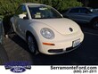  Volkswagen New Beetle