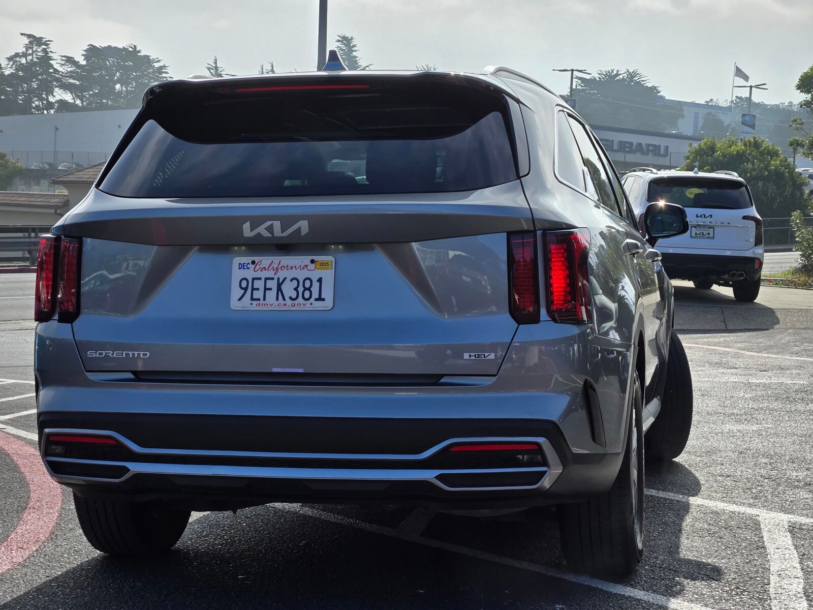 2023 Kia Sorento Hybrid EX photo 4