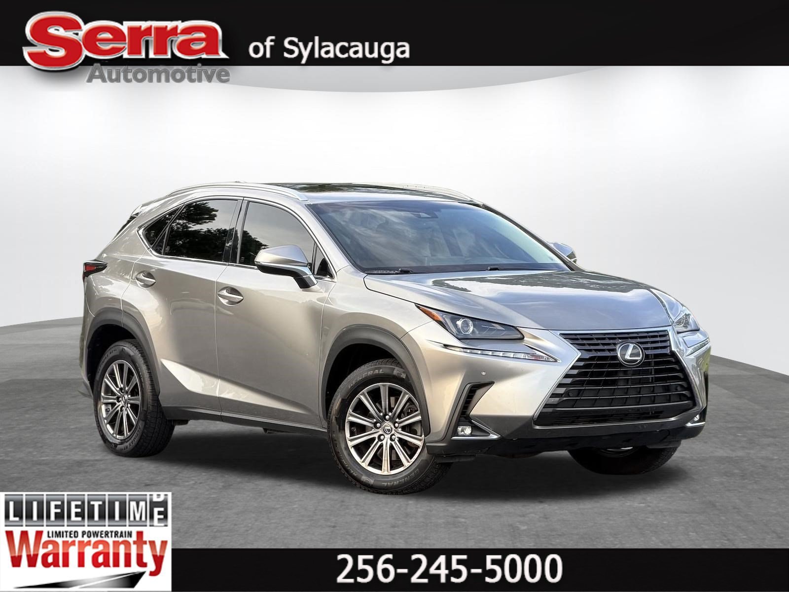 2019 Lexus NX