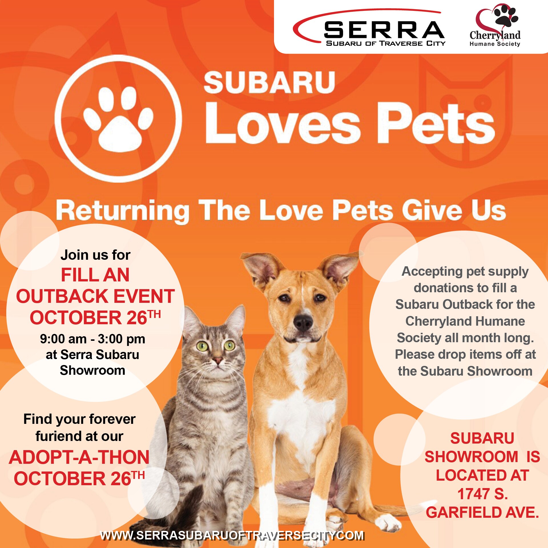 Cherryland Humane Society Cats 2025