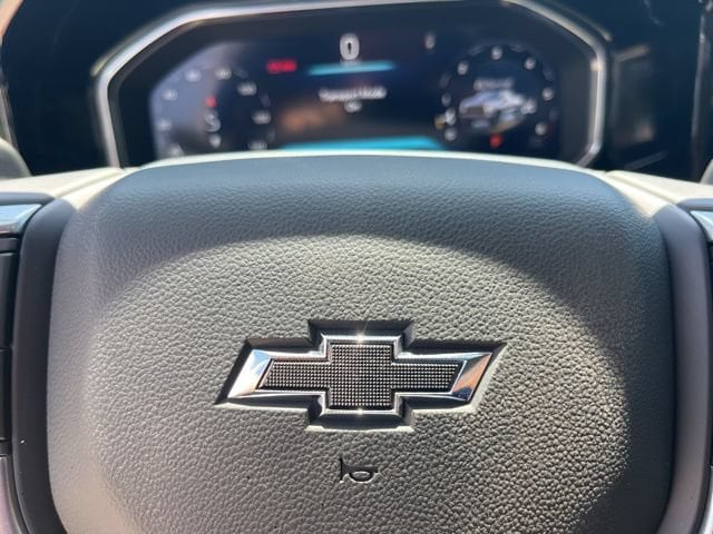 2026 Chevrolet Silverado 1500 LT Trail Boss - Photo 49