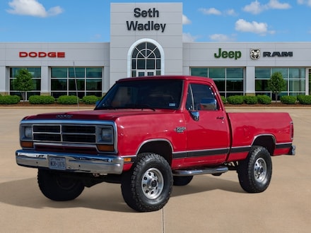 1989 Dodge D150 Base Truck