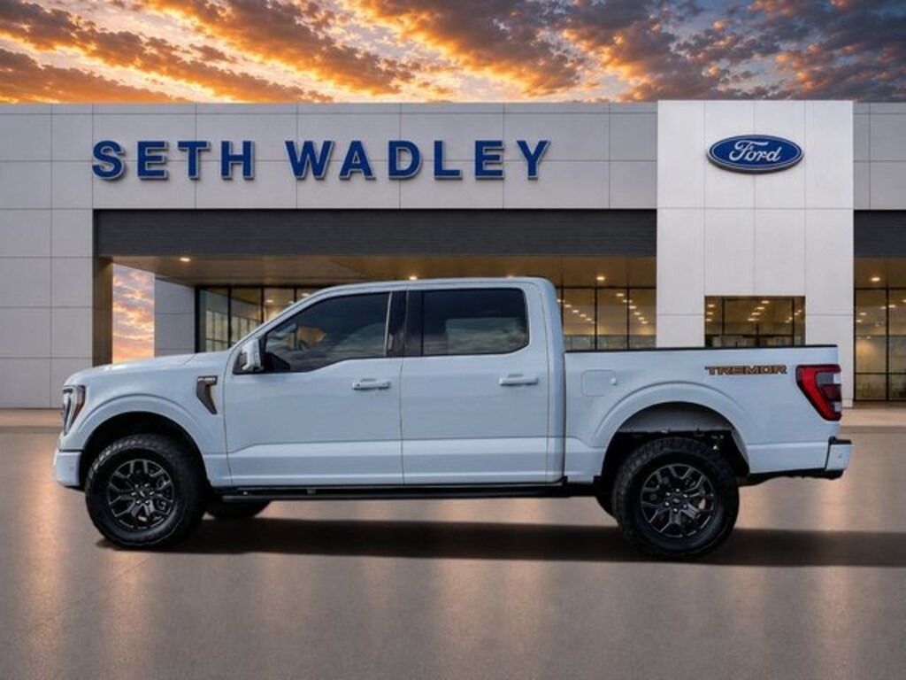 Used 2022 Ford F-150 Tremor Truck