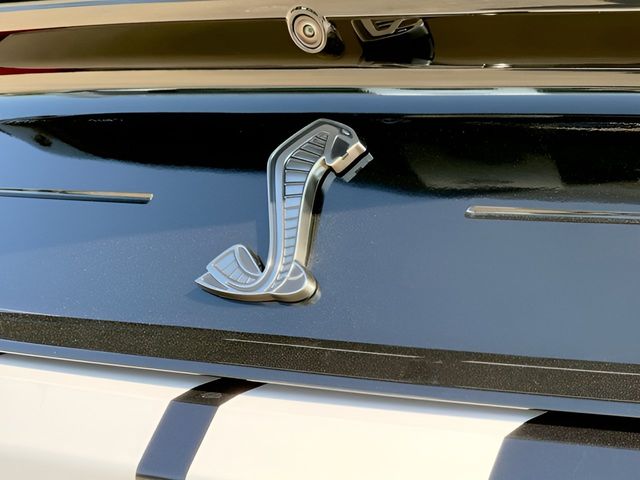 2020 Ford Mustang Shelby GT500 - Photo 11
