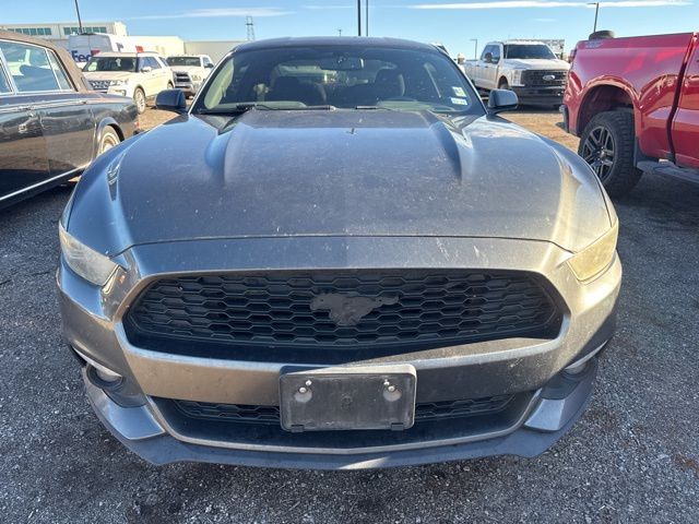 2015 Ford Mustang EcoBoost photo 2