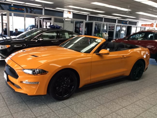 Ford Mustang Ecoboost Premium Convertible Ford Mustang Ecoboost Premium Convertible