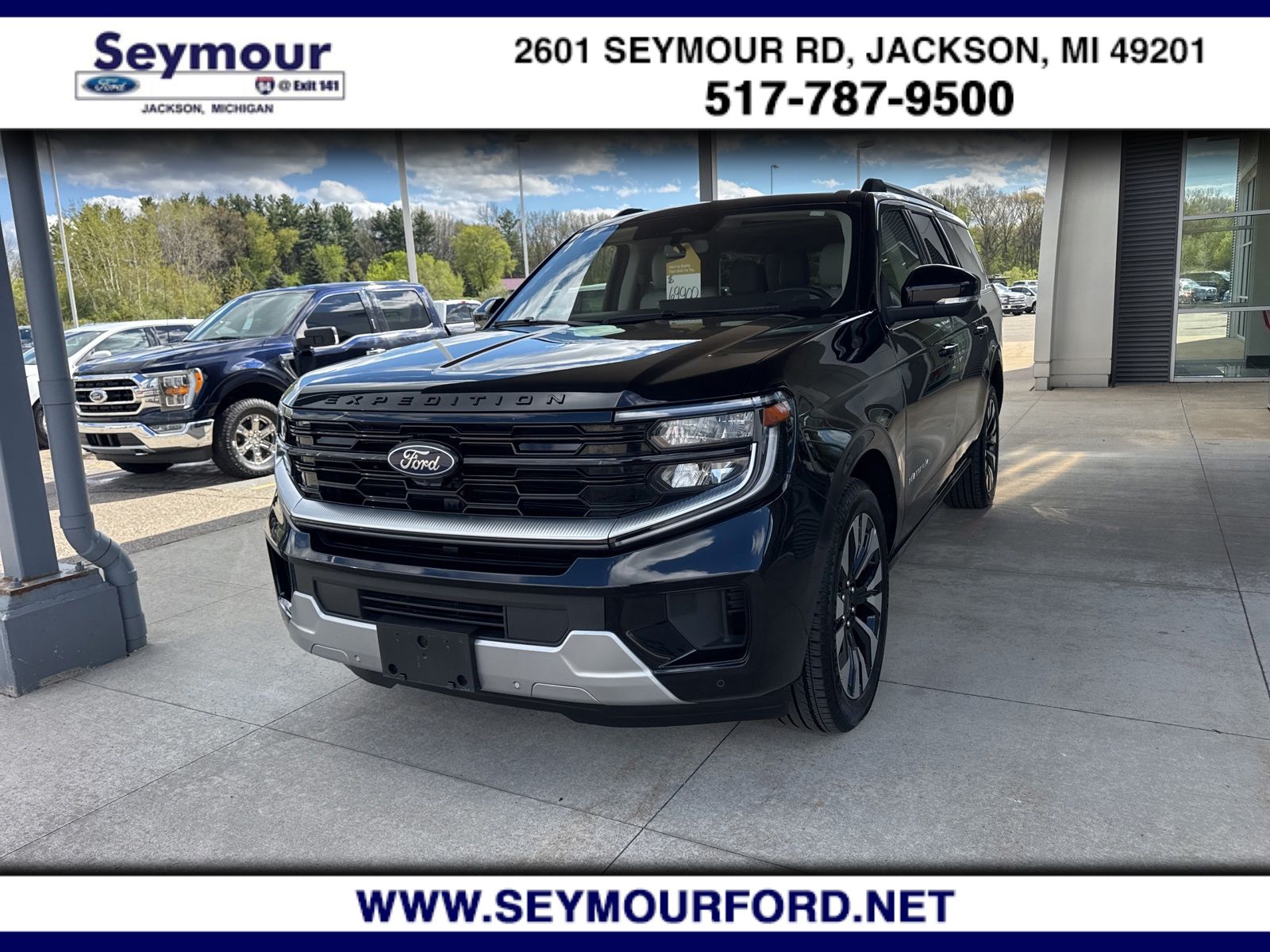2025 Ford Expedition Platinum MAX 4x4's photo