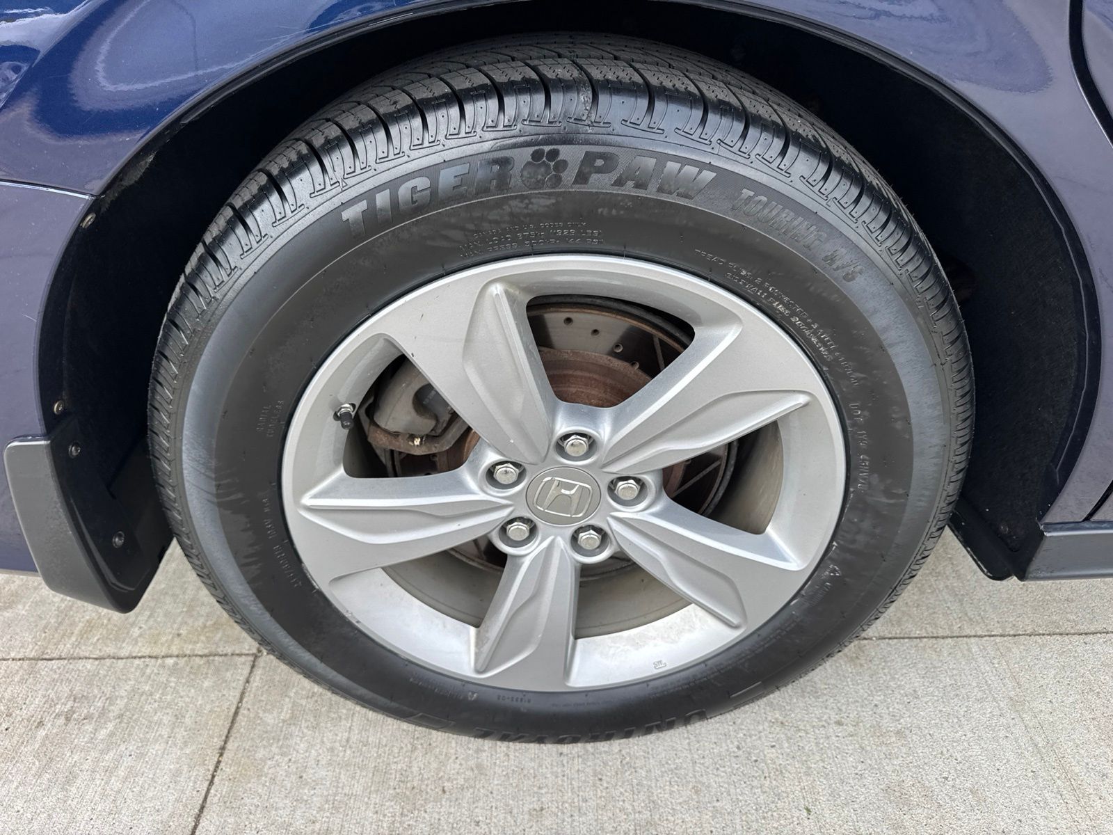 Photo 18