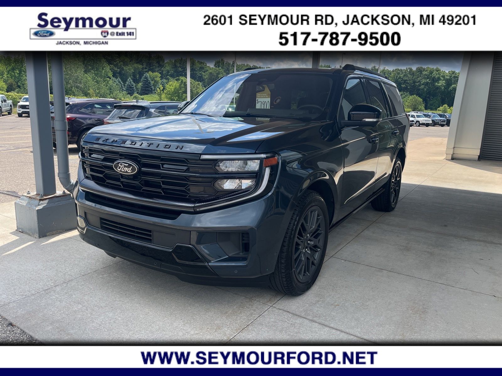 2025 Ford Expedition's photo