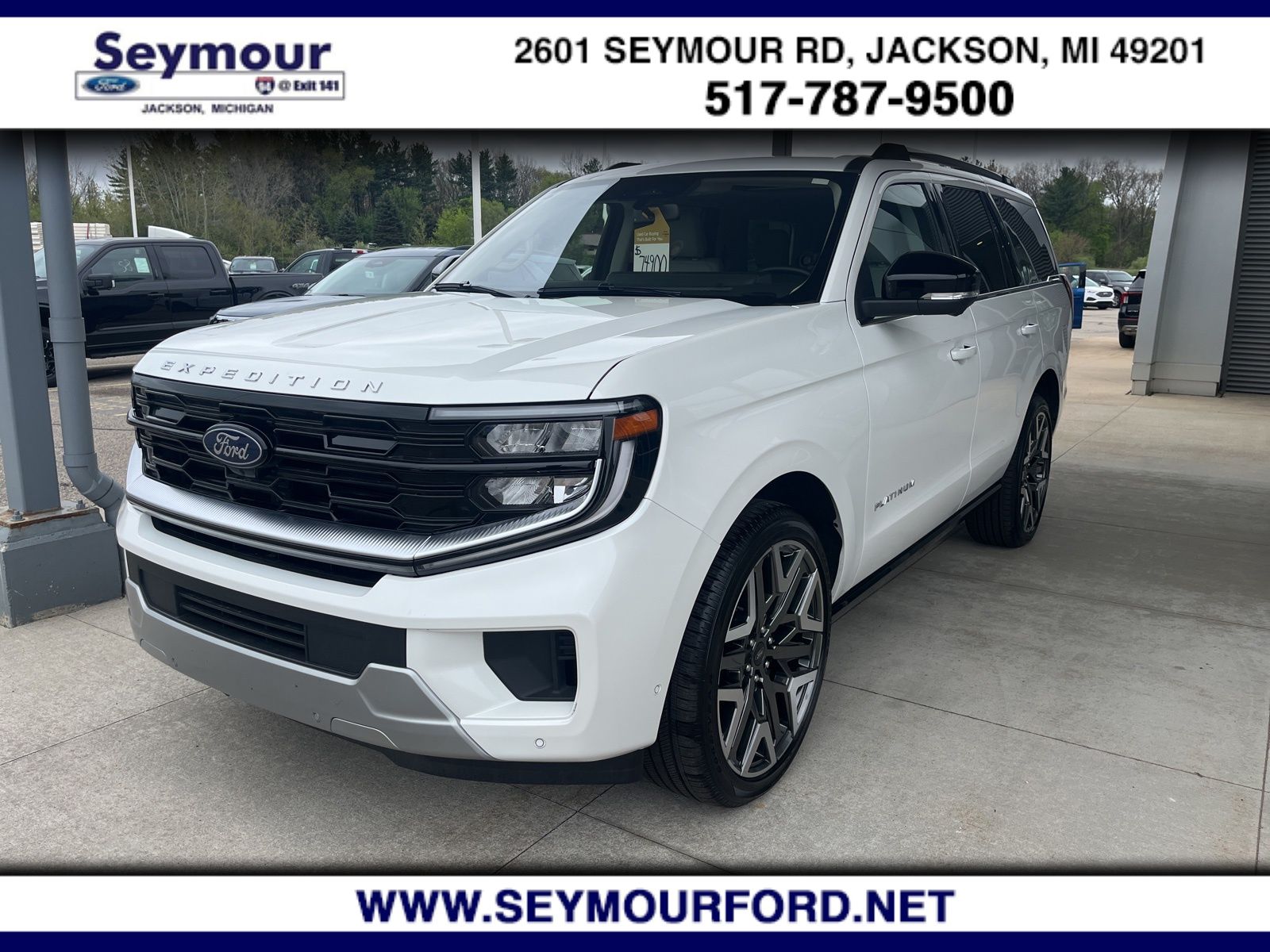 2025 Ford Expedition Platinum 4x4's photo
