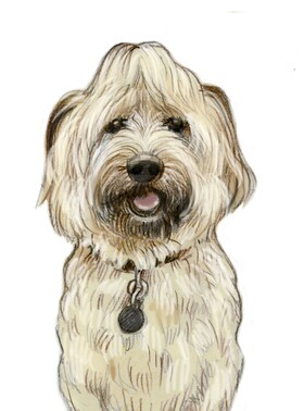 Staff member Rue from 9fe5af703f59