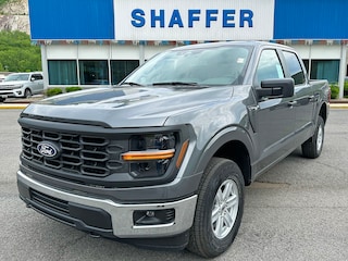 2025 Ford F-150 XL TRUCK