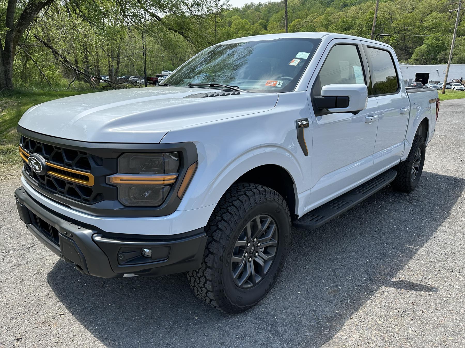 2025 Ford F-150 Tremor photo 2