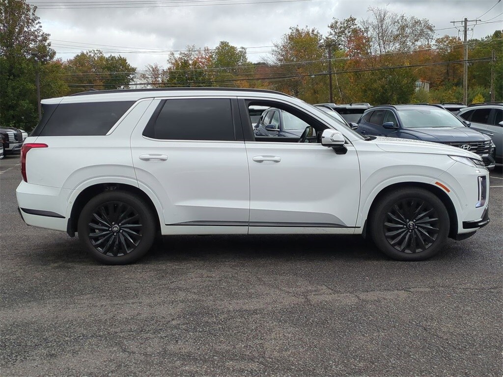 2025 Hyundai Palisade Calligraphy photo 2