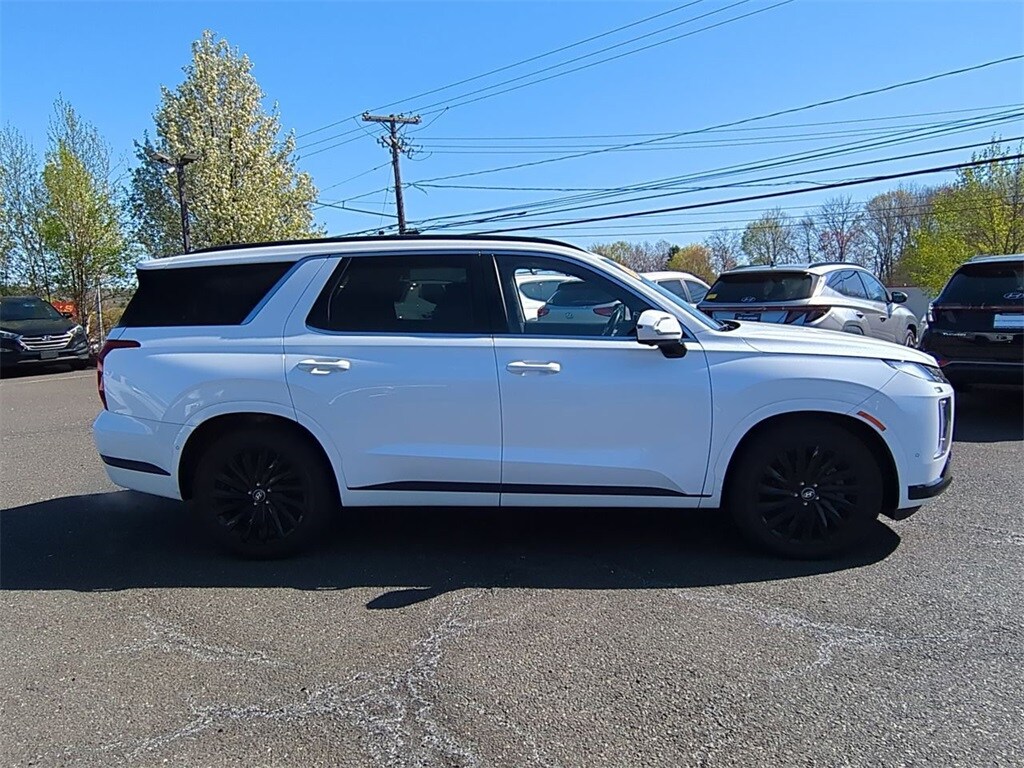 2024 Hyundai Palisade Calligraphy photo 2