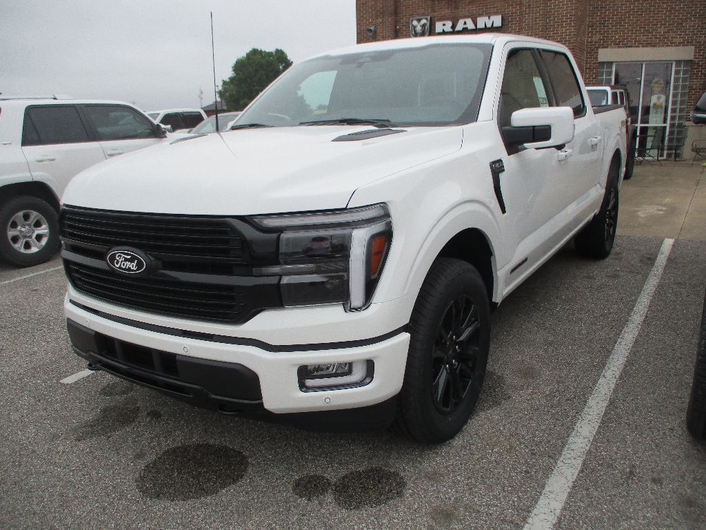 2025 Ford F-150 Platinum photo 3
