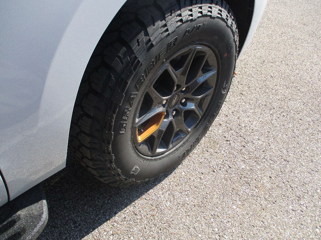 2025 Ford Expedition Tremor - Photo 23