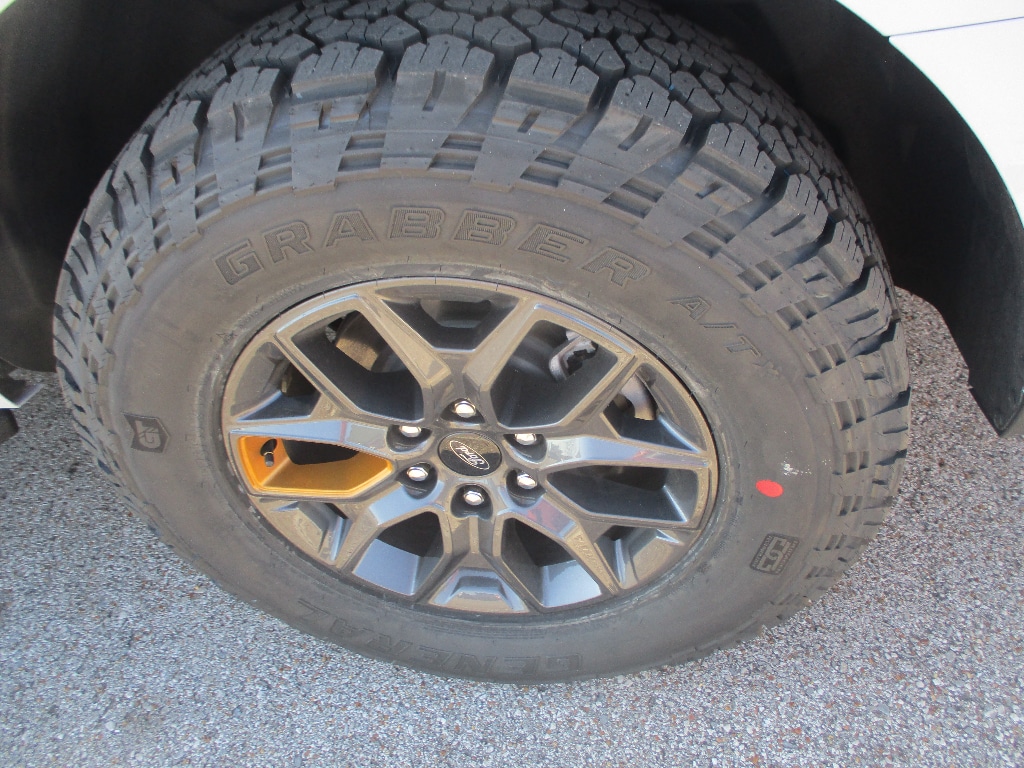2025 Ford Expedition Tremor - Photo 25