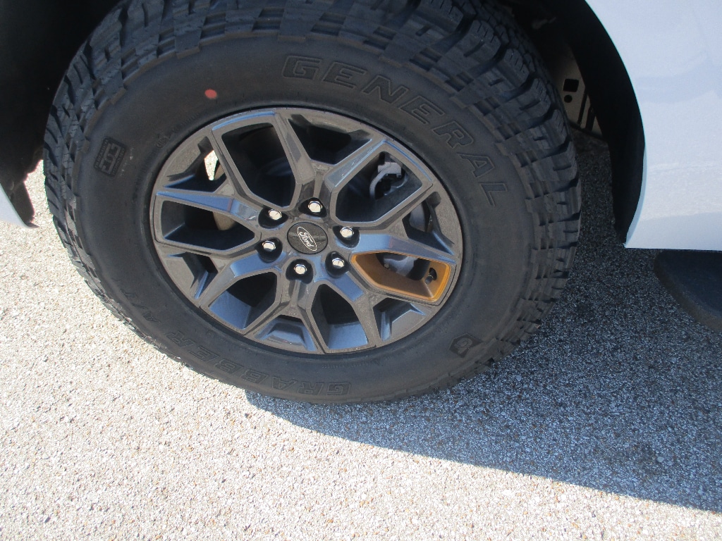 2025 Ford Expedition Tremor - Photo 26