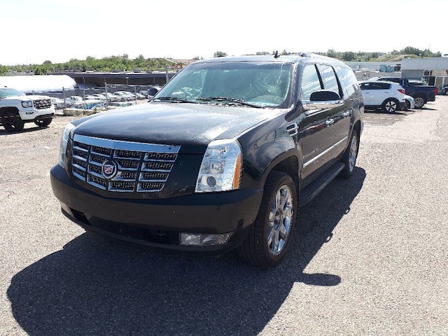 Shaw Gmc Calgary >> 2009 Cadillac Escalade Esv Base Leather Sunroof Suv Shaw Gmc Calgary >> 2009 Cadillac Escalade Esv Base Leather Sunroof Suv