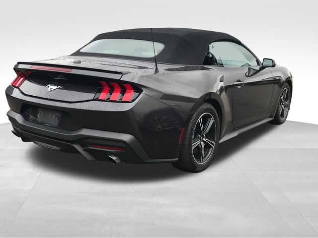 2024 Ford Mustang EcoBoost Premium Convertible photo 4