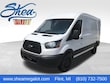 Ford Transit Van