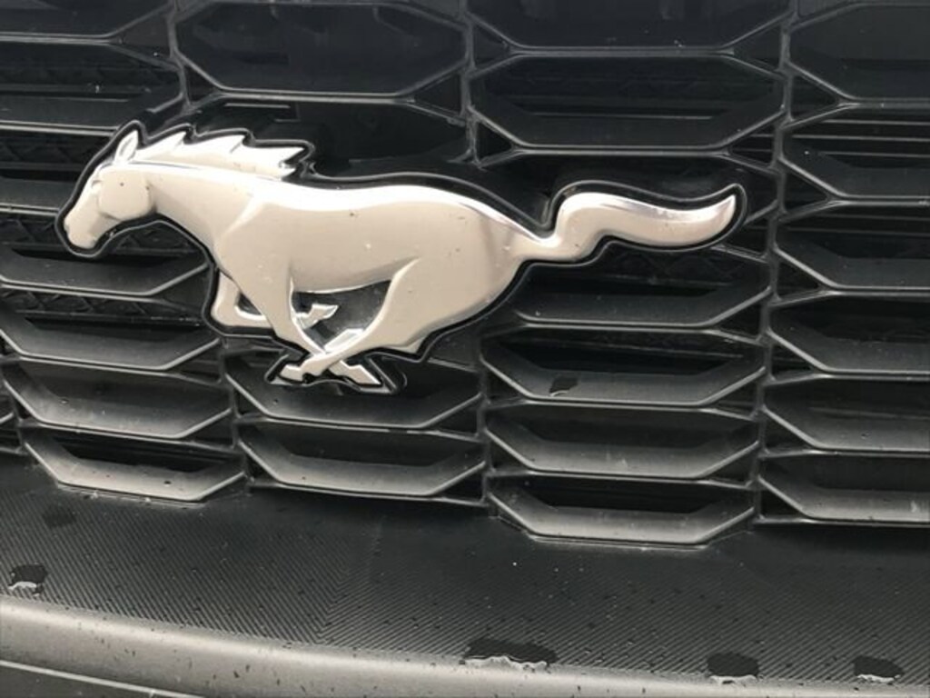Used 2024 Ford Mustang Ecoboost