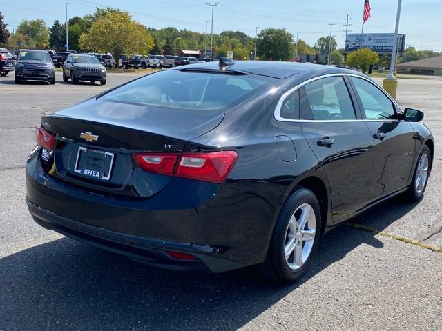 2023 Chevrolet Malibu 1LT photo 3