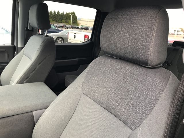 2024 Ford F-150 XLT photo 4