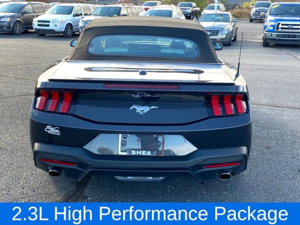 Used 2024 Ford Mustang Ecoboost Premium Convertible