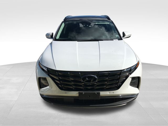 2024 Hyundai Tucson Limited photo 2