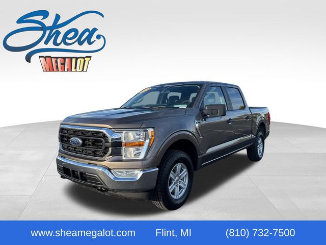 2022 Ford F-150 XLT's photo
