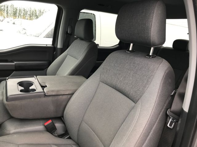 2024 Ford F-150 XLT photo 4