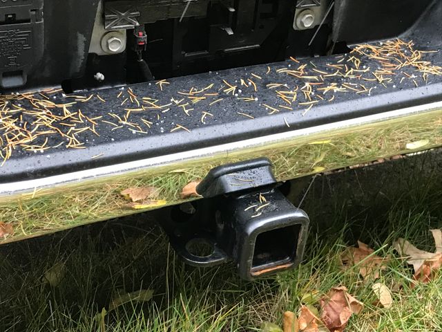 2023 Chevrolet Silverado 1500 LT photo 3