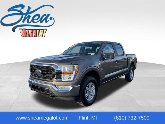 2022 Ford F-150 XLT's photo