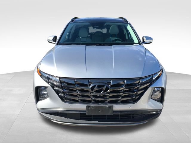 2024 Hyundai Tucson Limited photo 2