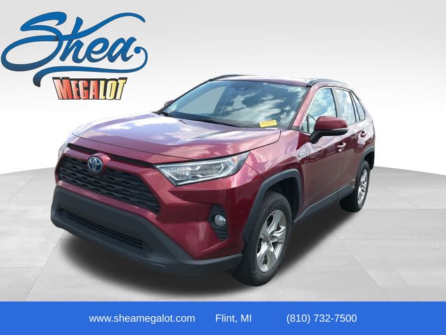 2020 Toyota RAV4 XLE's photo