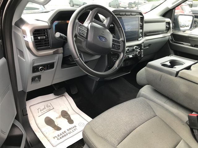 2024 Ford F-150 XLT photo 3
