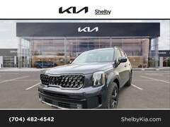2025 Kia Telluride SX-Prestige X-Pro SUV