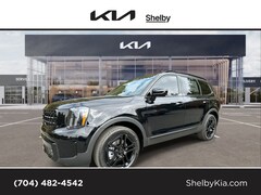 2025 Kia Telluride SX-Prestige X-Line SUV