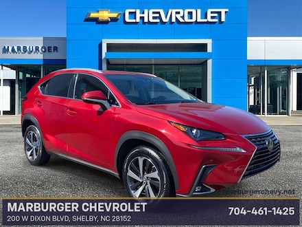 2021 LEXUS NX NX 300