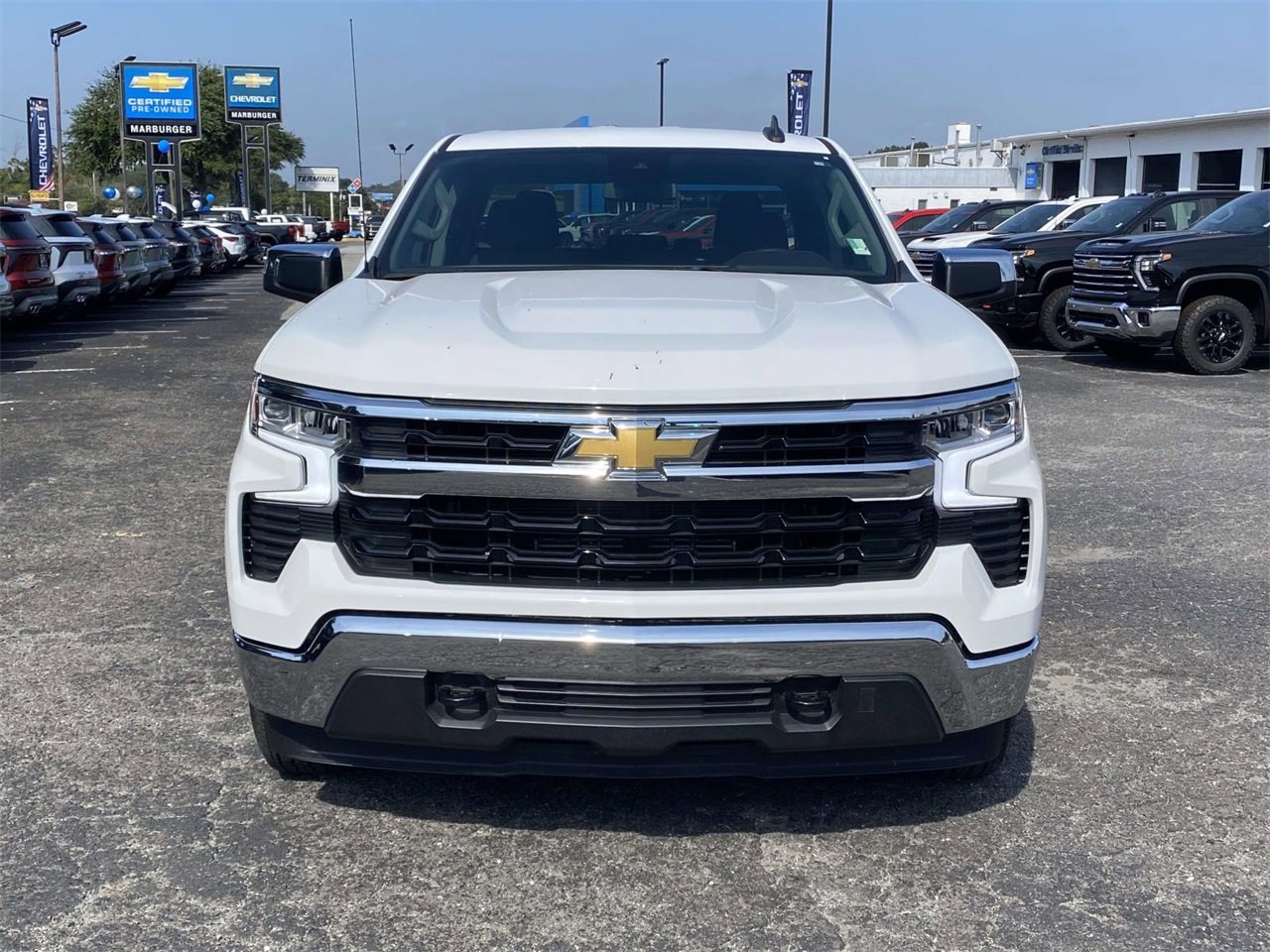 2024 Chevrolet Silverado 1500 LT photo 2