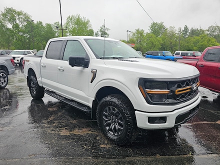 2025 Ford F-150 Tremor TRUCK