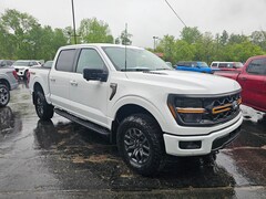 2025 Ford F-150 Tremor TRUCK