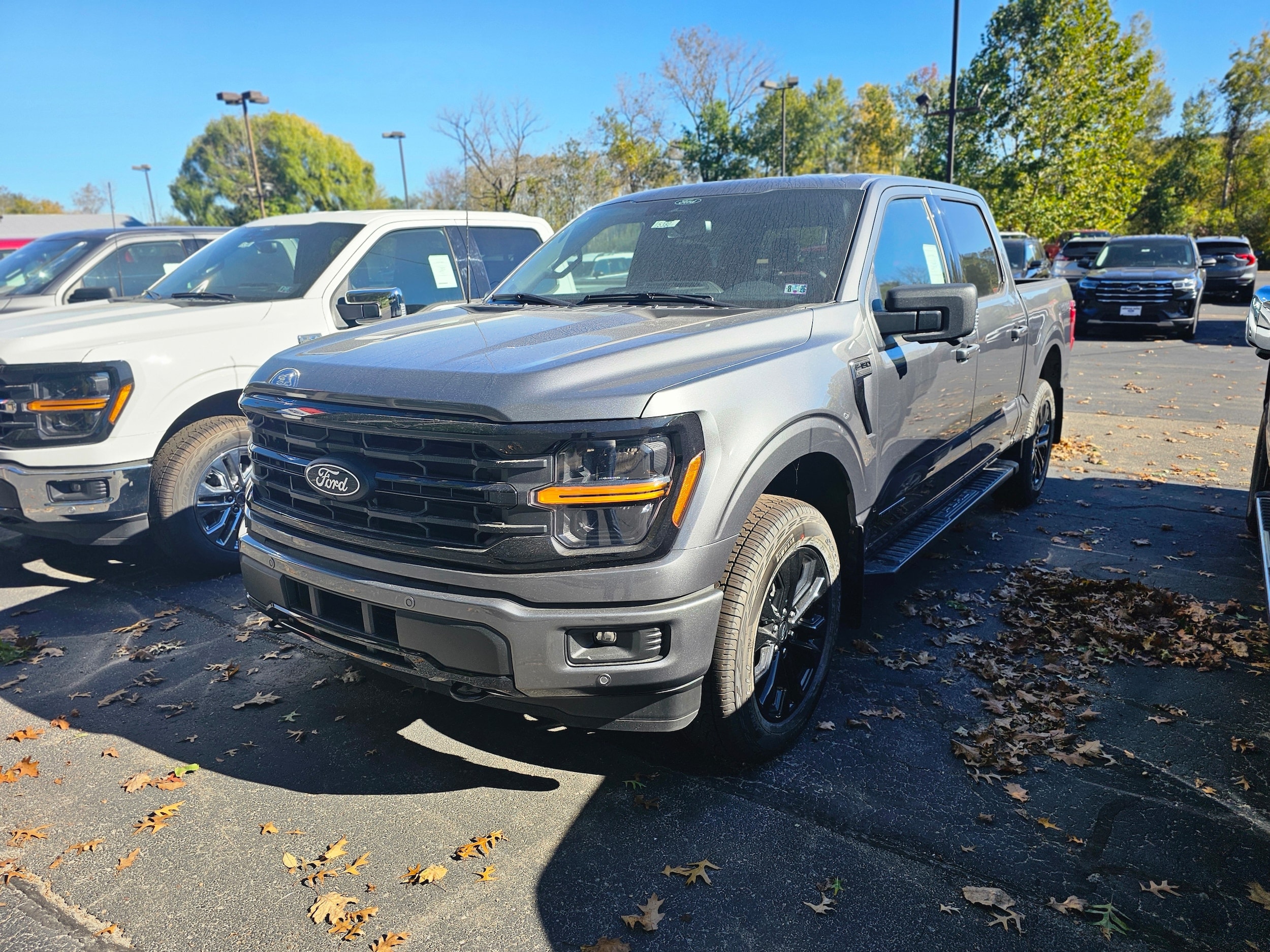 2025 Ford F-150 XLT's photo